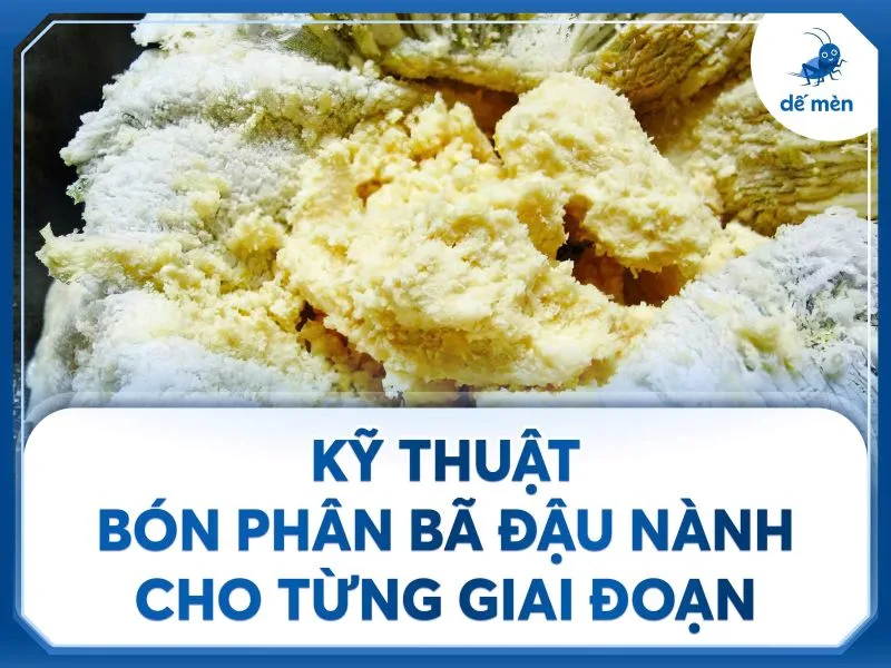 kỹ thuật bón phân bã đậu nành cho từng giai đoạn