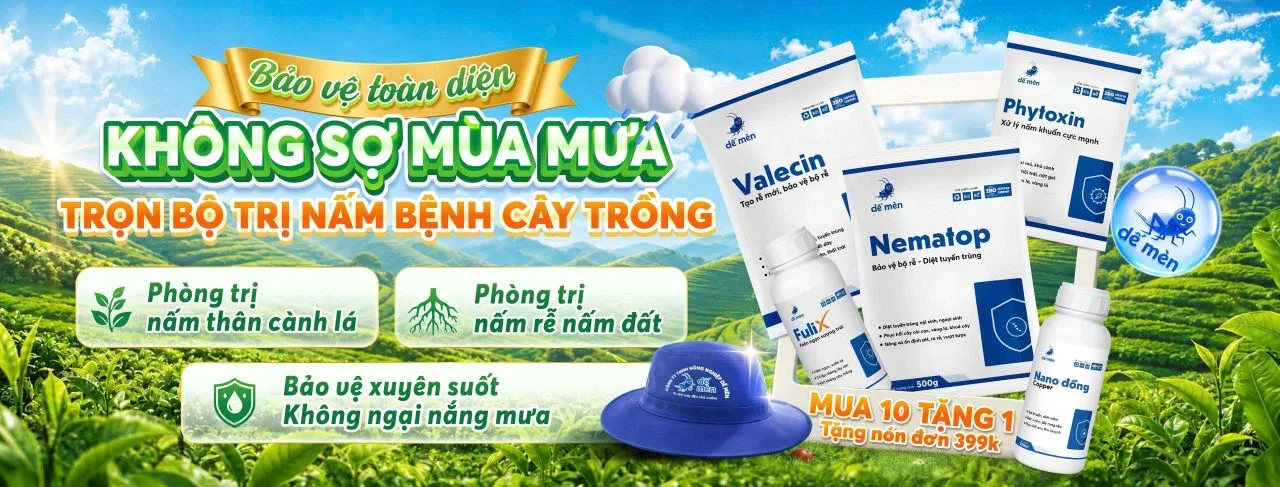 banner voucher mùa mưa dế mèn